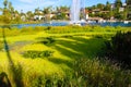 Stunning shot of the deep blue lake water, the lush green plants in the middle of the lake, palm trees and people on the water Royalty Free Stock Photo