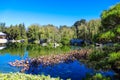 A stunning shot of a green lake with a stone bridge and buildings with Chinese architecture surrounded with lush green Royalty Free Stock Photo