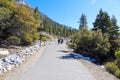 A stunning shot of people walking long winding smooth paved concreate hiking path with lush green trees and plants along the path