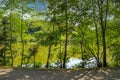 A stunning shot of the silky green lake water of Candler Lake surrounded by lush green trees on the banks of the lake