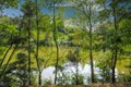 A stunning shot of the silky green lake water of Candler Lake surrounded by lush green trees on the banks of the lake