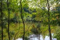 A stunning shot of the silky green lake water of Candler Lake surrounded by lush green trees on the banks of the lake