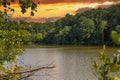 A stunning shot of the silky green lake water of Candler Lake surrounded by lush green trees on the banks of the lake