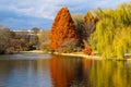 A stunning shot of the still blue waters of the lake in the park surrounded by gorgeous autumn colored trees