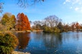 A stunning shot of the still blue waters of the lake in the park surrounded by gorgeous autumn colored trees