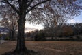 A stunning shot of a still lake in the park surrounded by gorgeous autumn colored trees at sunset at Freedom Park with blue sky Royalty Free Stock Photo