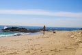 A stunning shot of the vast blue ocean water and waves crashing into the rocks with a woman playing with her dog on the beach Royalty Free Stock Photo