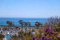 A stunning shot of the white boats and yacht docked and sailing Dana Point Harbor with deep blue ocean water, lush green plants Royalty Free Stock Photo