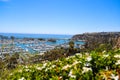 A stunning shot of the white boats and yachts docked and sailing Dana Point Harbor with deep blue ocean water, lush green plants Royalty Free Stock Photo