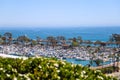 A stunning shot of the white boats and yachts docked and sailing Dana Point Harbor with deep blue ocean water, lush green plants Royalty Free Stock Photo