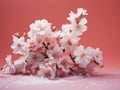 Stunning Snow-Covered Flowers: A Delicate Beauty Against a Pink Background Royalty Free Stock Photo