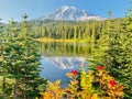 Tranquil Nature Wonderland: Snowy Mountain, Reflective Lake, and Hint of Red Blooms