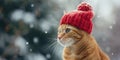 Stunning Snowy Landscape Captured With Adorable Ginger Cat In A Red Knitted Hat