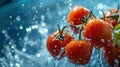 Crimson Symphony, A Mesmerizing Array of Floating Tomatoes Grazing the Aquatic Stage