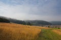 Stunning spring landscape in the mist