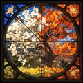 Vivid Seasonal Stained Glass Window Royalty Free Stock Photo