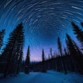 Stunning star trails motion night sky with forest silhouette landscape background image