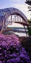 Lavender Pedestrian Bridges: Beautiful Flower Covered Structures In Acadia National Park