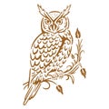 Night Bird Owl Full Body Printable Vector Stencil