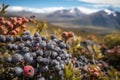 The Majestic Calafate: Berries of Patagonia\'s Andes