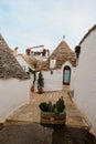 Street with Trulli Houses and Lush Plant