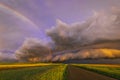 Stunning stormy sunset with rainbow