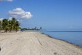 a stunning summer landscape at Crandon Park with blue ocean water, green palm trees and grass, people walking, hotels and condos