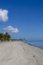 a stunning summer landscape at Crandon Park with blue ocean water, green palm trees and grass, people walking, hotels and condos