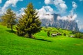 Stunning summer scenery with alpine green fields and mountains, Dolomites Royalty Free Stock Photo