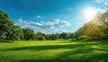 Stunning Summer Spring Landscape With Park Trees Royalty Free Stock Photo