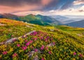 Stunning summer view of Chornogora mountain range with Dantsizh peak on background.