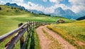 Stunning summer view of Sassolungo Langkofel range in National Park Dolomites, South Tyrol, Italy, Europe. Sunny morning scene o Royalty Free Stock Photo