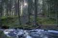 Stunning sunlit Frozen Hassafallen Waterfall in Wintry Rural Woodlands