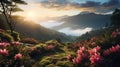 Stunning Sunrise Landscape With Flowers And Mountains
