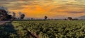 Stunning Sunset Landscape. Beautiful nature landscape panorama. Farm field idyllic scene Royalty Free Stock Photo