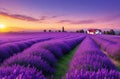 Stunning Sunset Landscape with Lavender Field.