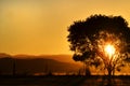 Stunning Sunset Sun Setting Behind Tree, Mountains Rural Australia
