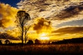 Stunning sunset sun setting behind tree, mountains rural Australia