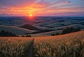 Stunning sunset view over golden wheat fields and rolling hills Royalty Free Stock Photo