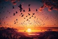 stunning sunset, viewed from above with flock of majestic birds in flight