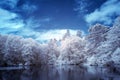 Stunning surreal false color infra red Summer landscape of lake and woodland in English countryside