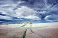 Stunning surreal false color infrared Summer landscape over agri Royalty Free Stock Photo