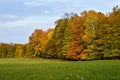 Stunning tree line in autumn Royalty Free Stock Photo