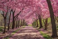 A stunning tree-lined road adorned with an abundance of vibrant pink flowers, creating an enchanting and serene scene, A cherry