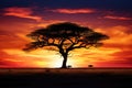 A stunning tree stands tall in the middle of a vast field, surrounded by the warm hues of a breathtaking sunset, The silhouette of