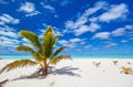 Stunning tropical beach at exotic island in Pacific Royalty Free Stock Photo