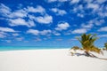 Stunning tropical beach at exotic island in Pacific Royalty Free Stock Photo