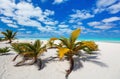 Stunning tropical beach at exotic island in Pacific Royalty Free Stock Photo