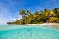 Stunning tropical beach at exotic island in Pacific Royalty Free Stock Photo