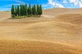 Stunning Tuscany landscape with cypress trees near Siena,Italy,Europe